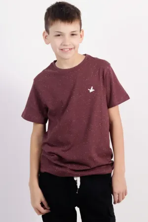 TSHIRT CUELLO REDONDO NIO