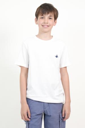 TSHIRT CUELLO REDONDO NIO